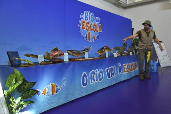 Apresentação 4