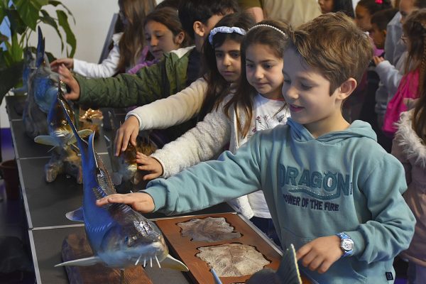 exposição 5